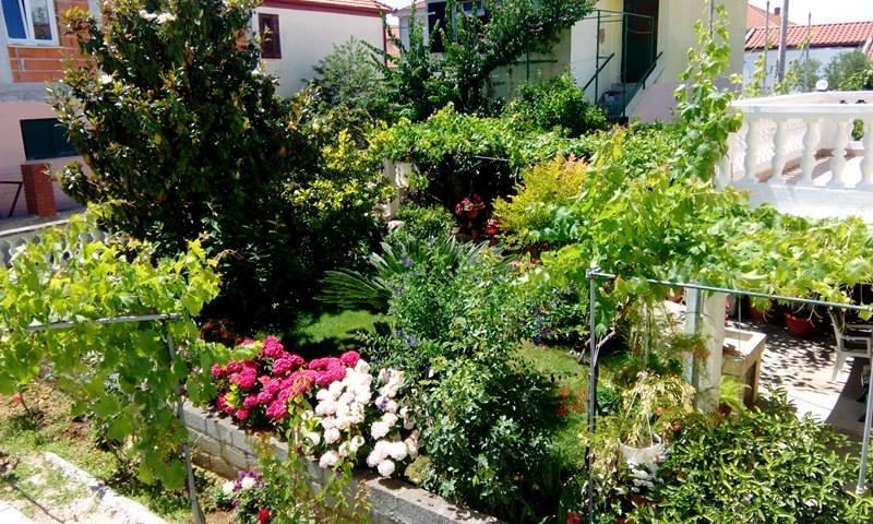 Apartment Matovina Zadar Exterior foto